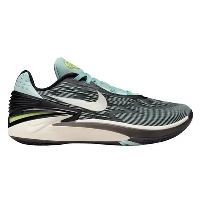 Nike Basketbalové boty AIR ZOOM G.T. CUT 2 101703184