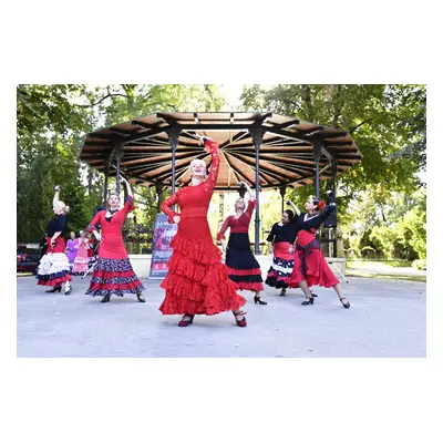 Technika tance flamenca - online kurz