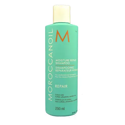 Moroccanoil Regenerační šampon s obsahem arganového oleje na slabé a poškozené vlasy (Moisture R