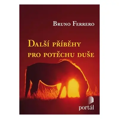 Další příběhy pro potěchu duše, 1.  vydání - Bruno Ferrero