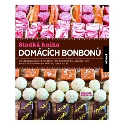 Sladká kniha domácích bonbonů - Elizabeth LaBauová