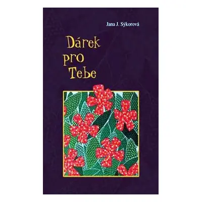 Dárek pro Tebe - Jana J. Sýkorová