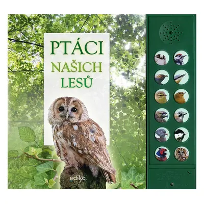 Ptáci našich lesů - zvuková knížka - Andrea Pinnington