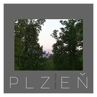 Plzeň - Ondřej Kavan